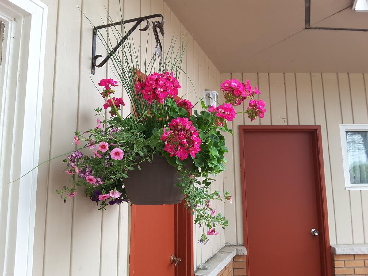 Pine Grove Motel Sault Ste. Marie Buitenkant foto
